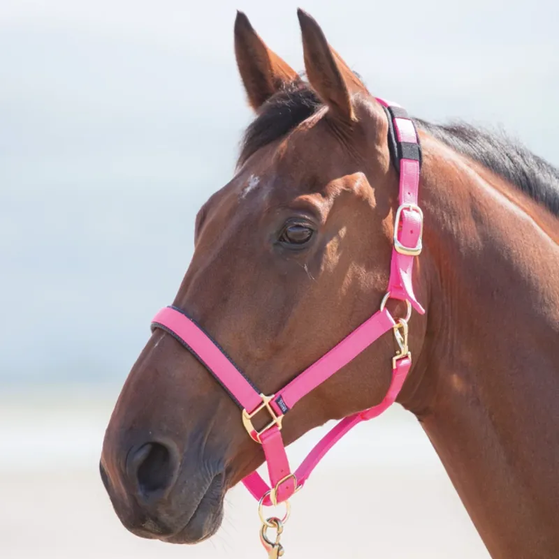 Topaz Nylon Headcollar Pink full
